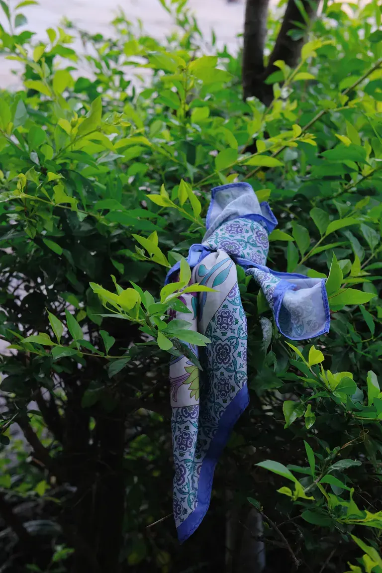 Qianlong Porcelain · Cool 1
